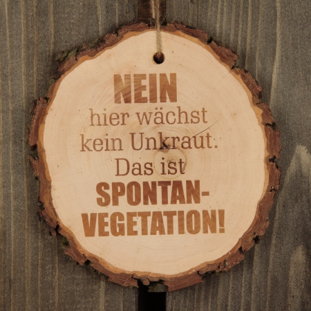 Baumscheibe "Nein hier wächst kein Unkraut! Das ist Spontanvegetation"